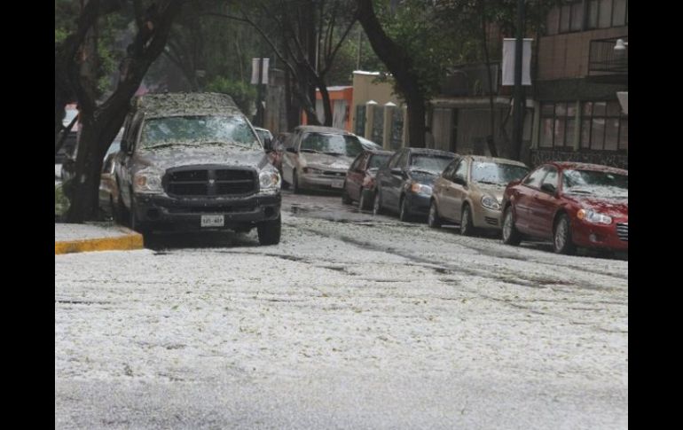 No se han reportado contingencias las unidades delegacionales en la materia se mantienen en alerta.  /