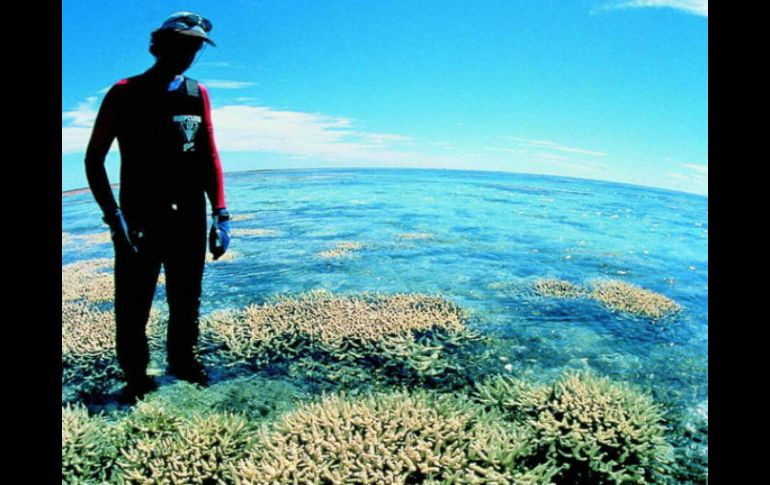 Actualmente la zona más afectada es la costa oeste del Pacífico. ARCHIVO  /