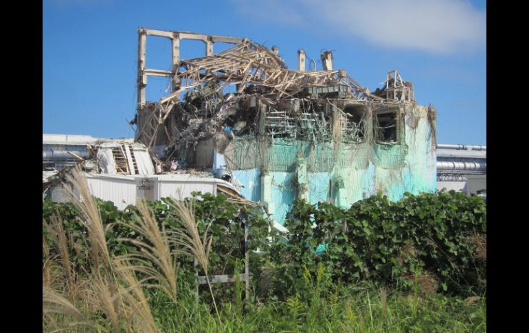 Los daños a la central de Fukushima ponen en entredicho la seguridad de estas instalaciones. ARCHIVO  /