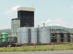 La normatividad obliga a las empresas tequileras a tratar sus aguas residuales contaminadas con vinazas.  /