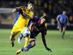 Tigres llega a 18 unidades en el torneo Clausura 2012. EFE  /