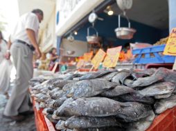 Se estima que se comercializarán más de 215 mil toneladas de productos pesqueros en toda la República. ARCHIVO  /