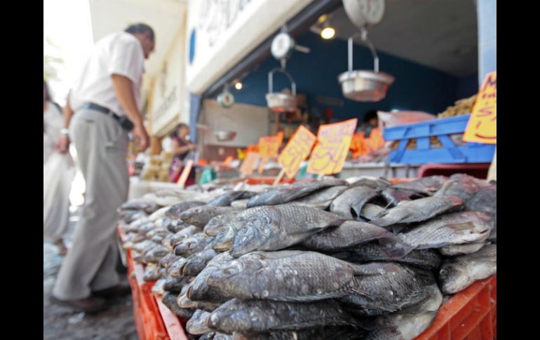 Se estima que se comercializarán más de 215 mil toneladas de productos pesqueros en toda la República. ARCHIVO  /