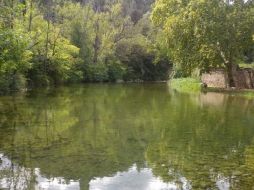 Usando el mismo sistema que la NASA, se pueden permite eliminar los olores y sabores del agua. EFE  /