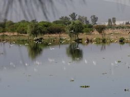 Aseguran que el río se encuentra totalmente libre de arsénico y dejará de recibir aguas residuales. ARCHIVO  /