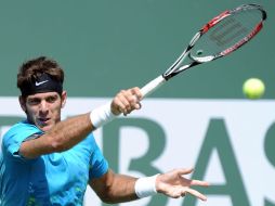 El capitán del equipo argentino, Martín Jaite considera a Martín del Potro para jugar en Alemania este 2012. ARCHIVO  /