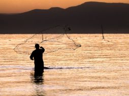 El peligro que corren los recursos marinos por la contaminación supera las expectativas. ARCHIVO  /