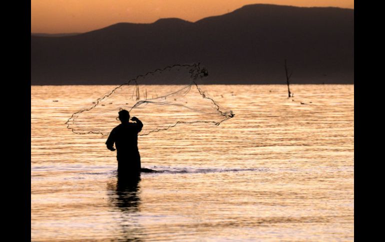 El peligro que corren los recursos marinos por la contaminación supera las expectativas. ARCHIVO  /