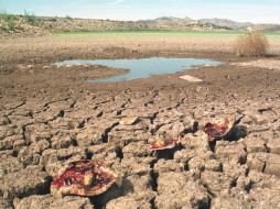 La falta de recursos obliga a la población afectada a emigrar y descuidar sus tierras.  /