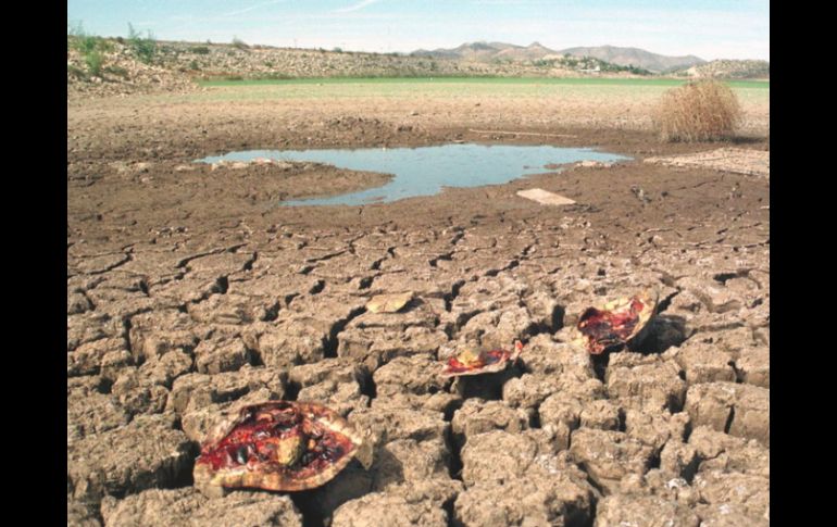 La falta de recursos obliga a la población afectada a emigrar y descuidar sus tierras.  /