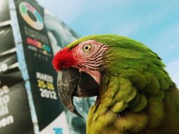 El 37 del Tianguis Turístico se realizó en Puerto Vallarta, Jalisco.  /