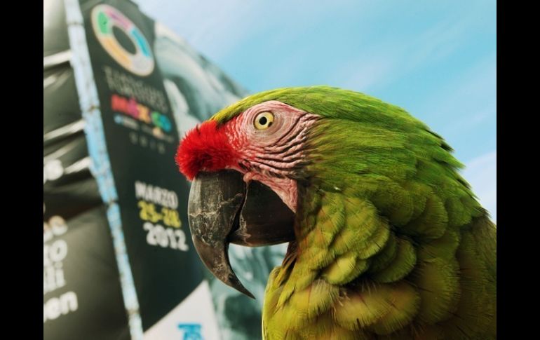 El 37 del Tianguis Turístico se realizó en Puerto Vallarta, Jalisco.  /