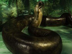 La Titanoboa vivió en la selva tropical hace 58 millones de años. EFE  /