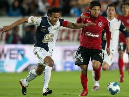 El cuadro de Pachuca se impuso ante los Xolos. MEXSPORT  /