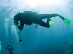 La actividad del buceo, se está volviendo una actividad peligrosa en las playas de Australia. ARCHIVO  /