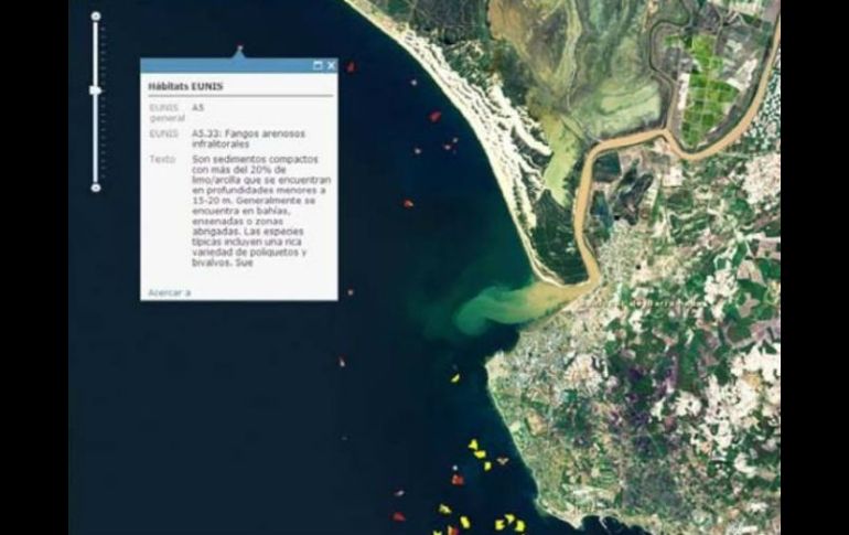 En la imagen, captura de pantalla del mapa de Oceana donde se aprecia sedimentos en la costa de Cádiz. EFE  /