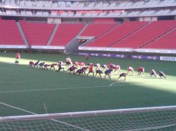 Los ausentes de hoy fueron Héctor Reynoso, Alberto Medina, Jesús Sánchez y Omar Arellano.  /