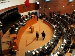 AI exhortó al Senado a aprobar la ley para la protección de defensores de derechos humanos y periodistas. ARCHIVO  /