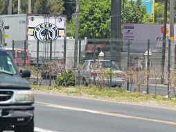 El Ayuntamiento de Tlaquepaque incumplió una Norma Ambiental Estatal al suplir las 38 casuarinas taladas de manera clandestina.  /