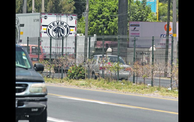 El Ayuntamiento de Tlaquepaque incumplió una Norma Ambiental Estatal al suplir las 38 casuarinas taladas de manera clandestina.  /