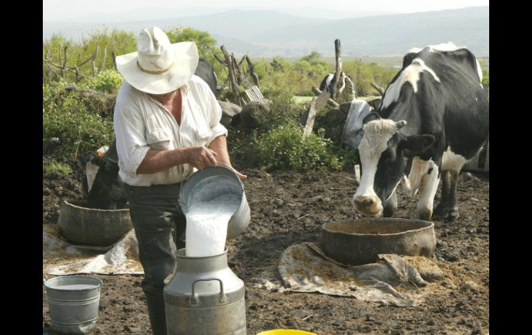 El sector lechero pide que se le pague lo justo por su trabajo y exhiben que la leche en polvo genera una competencia desleal. ARCHIVO  /