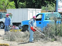 Empleados de la Sedeur retiran los restos de los árboles a los que les trozaron las copas en el camellón de la carretera.  /