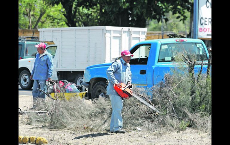 Empleados de la Sedeur retiran los restos de los árboles a los que les trozaron las copas en el camellón de la carretera.  /