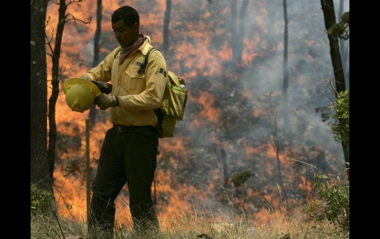 A tres días de haber iniciado el fuego en el bosque, algunas escuelas decidieron parar sus actividades. REUTERS  /