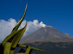 Durante las últimas horas, el volcán Popocatépetl registró 14 exhalaciones. AFP  /