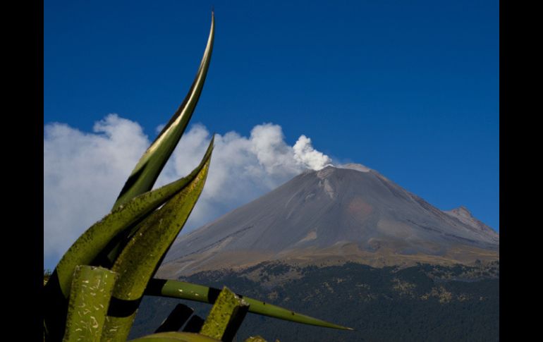 Durante las últimas horas, el volcán Popocatépetl registró 14 exhalaciones. AFP  /