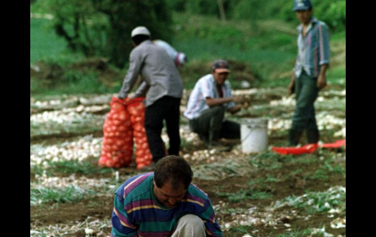 En 200 años, la agricultura tradicional será otra opción para prepararse ante el crecimiento poblacional, dijo Negishi. ARCHIVO  /