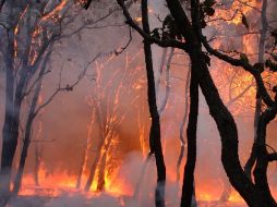 A cuatro días después de haber comenzado el incendio, los efectos son percibidos en la mancha urbana. AFP  /