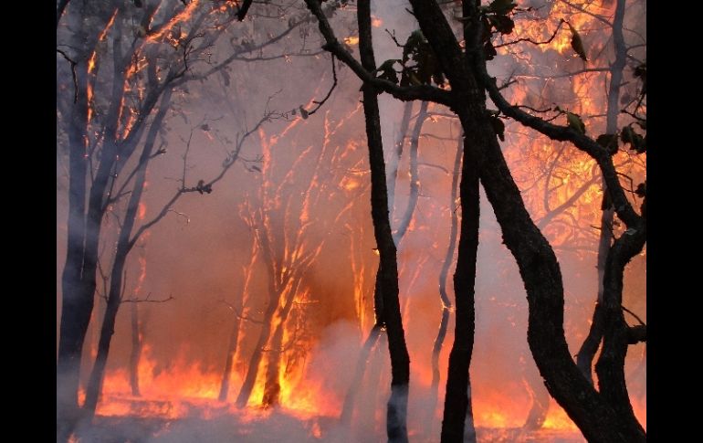 A cuatro días después de haber comenzado el incendio, los efectos son percibidos en la mancha urbana. AFP  /