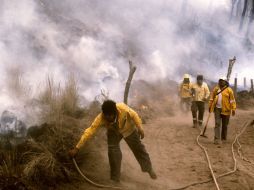 El polígono que delimita la afectación del área natural protegida de bosque podría rebasar las ocho mil hectáreas.  /