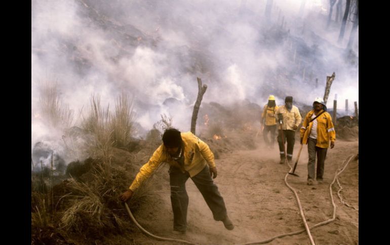 El polígono que delimita la afectación del área natural protegida de bosque podría rebasar las ocho mil hectáreas.  /