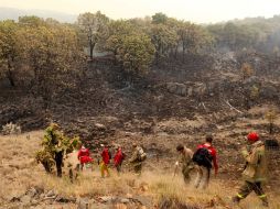 Las organizaciones exigen que se persigan y castiguen los delitos ambientales en el ámbito federal. ARCHIVO  /