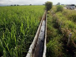 Se pretendía que Guadalajara comenzara a utilizar etanol-extraído de la caña- como aditivo para gasolinas.ARCHIVO  /