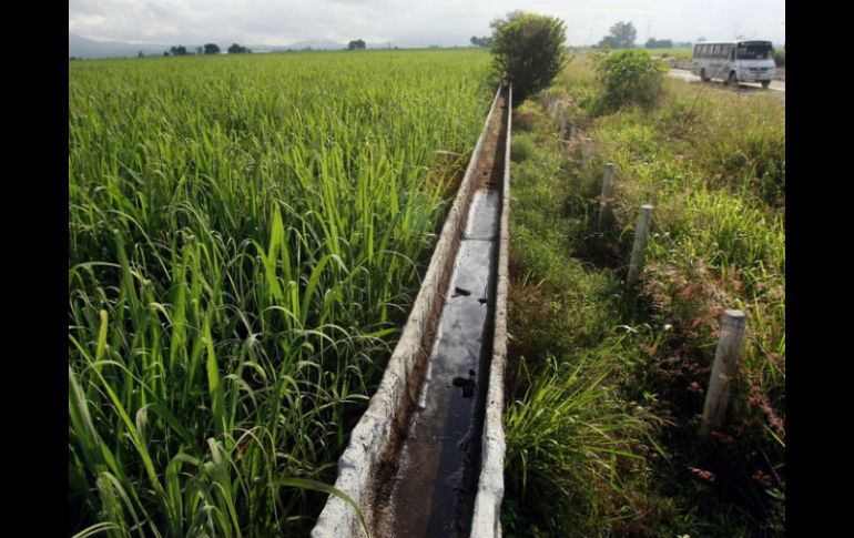 Se pretendía que Guadalajara comenzara a utilizar etanol-extraído de la caña- como aditivo para gasolinas.ARCHIVO  /