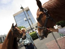 Joan Sebastian entregó los caballos donados en la explanada de la Rectoría de la UdeG.  /