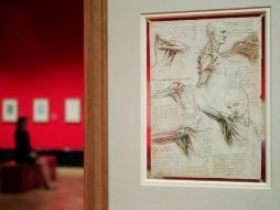 La sorprendente genialidad de Leonardo Da Vinci, en sus estudios anatómicos. REUTERS  /