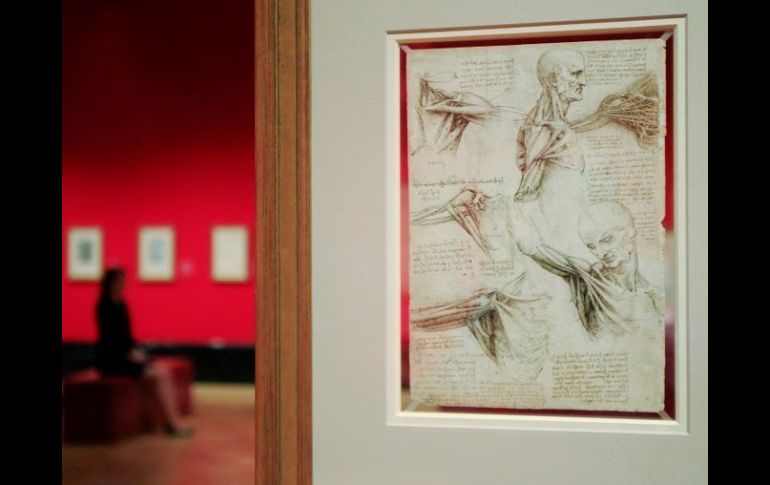 La sorprendente genialidad de Leonardo Da Vinci, en sus estudios anatómicos. REUTERS  /