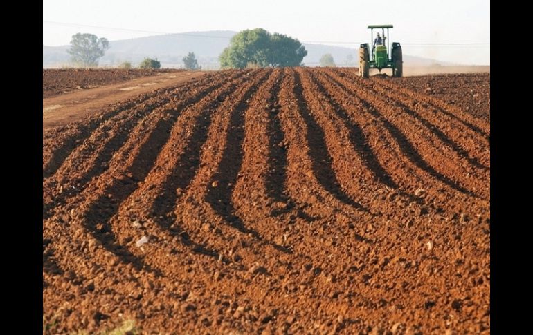 Industrias como la cementera, química, agrícola y farmacéutica podrán beneficiarse de la investigación. ARCHIVO  /