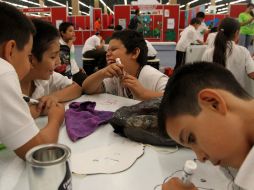 Niños se divierten durante las actividades de Papirolas 2012.  /