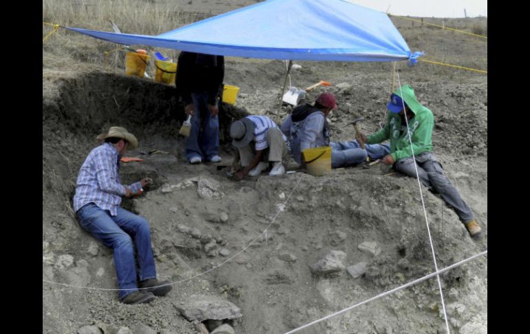 Especialistas del INAH trabajando en la zona donde fueron hallados los restos óseos de un mamut. EFE  /