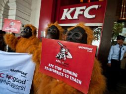 Greenpeace acusó a KFC de convertir la selva en basura. AFP  /