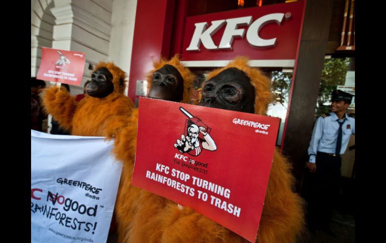 Greenpeace acusó a KFC de convertir la selva en basura. AFP  /