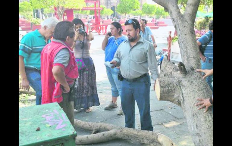 Un inspector discute con los vecinos ante un árbol cortado. ESPECIAL  /