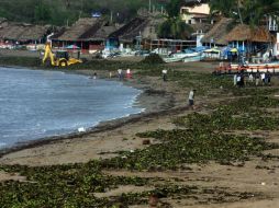 Elementos de Ejército Mexicano iniciaron las labores de limpieza en las playas afectadas. AFP  /