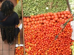 Gracias a la triplicación de su genoma, el tomate es una especie de fruto que logró salvarse de la 'extinción masiva'. ARCHIVO  /