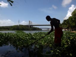 La mayoría de hatianos en República Dominicana están  dedicados a trabajos agrícolas, hostelería, construcción y otros sectores. EFE  /